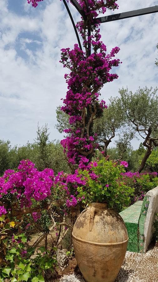 Il Rifugio B&B Capri Anacapri  Exterior foto